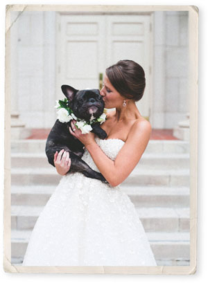 Grall & Pickering: Aves Photographic Design