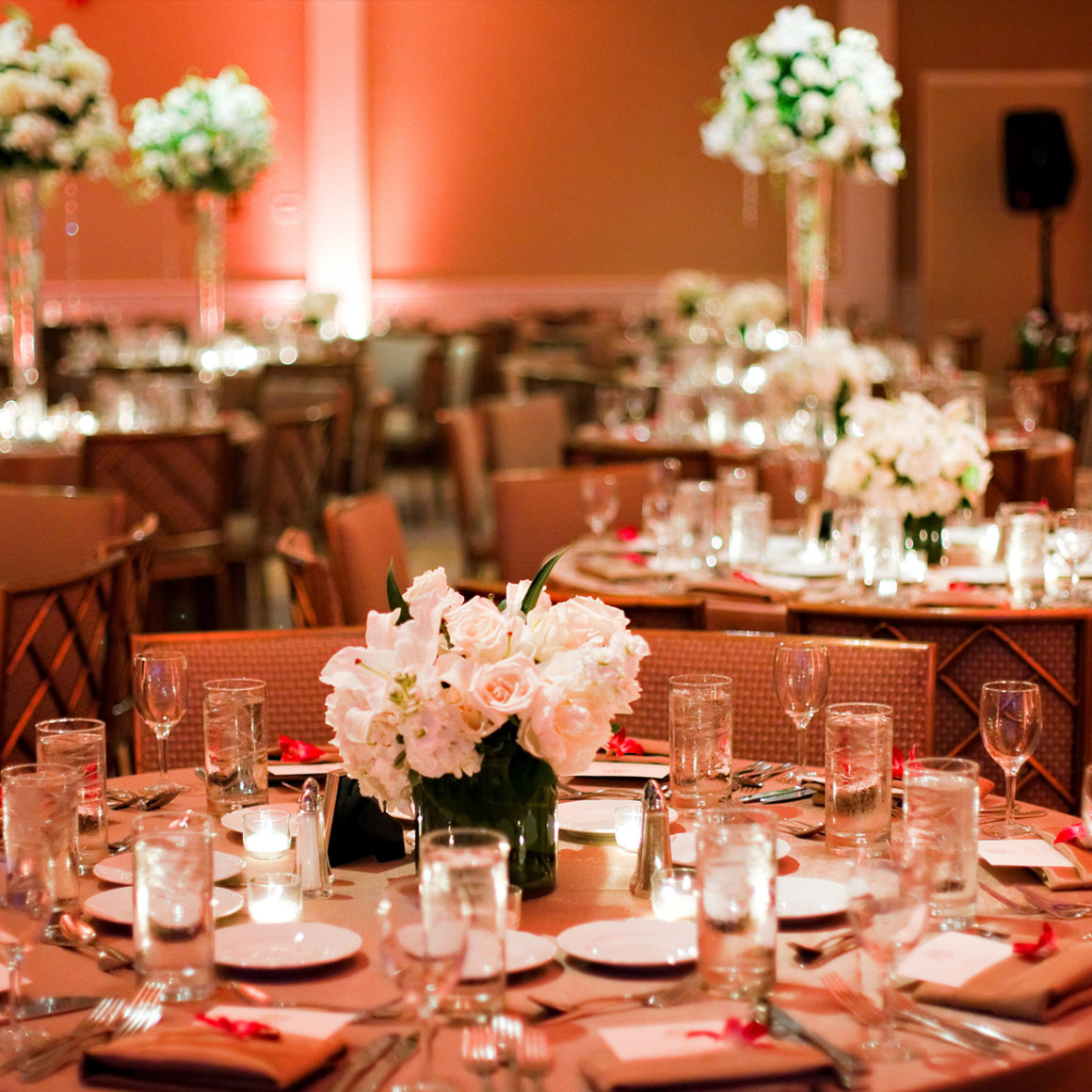 Behind the Scenes Emerald City Entertainment