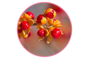 In season flowers for weddings florals